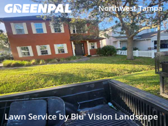 Lawn Cut nearby Tampa, FL, 