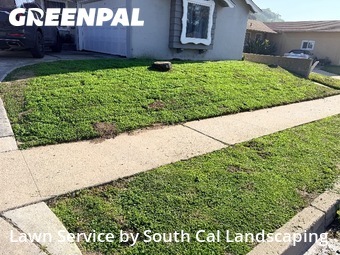 Work completed by lawn-care-experts-near-me-in-Lemon Grove-CA