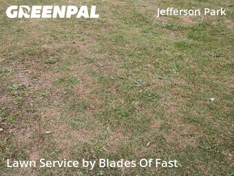 Yard Cutting nearby Atlanta, GA, 
