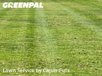 Yard Cutting nearby Murfreesboro, TN, 