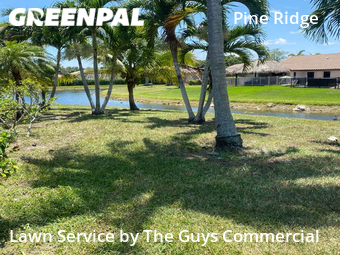 Lawn Cutting nearby Coral Springs, FL, 