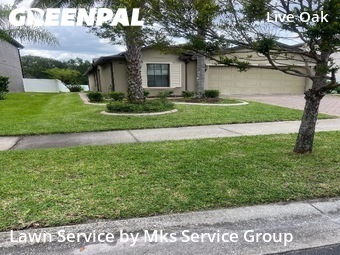Lawn Cut nearby Tampa, FL, 