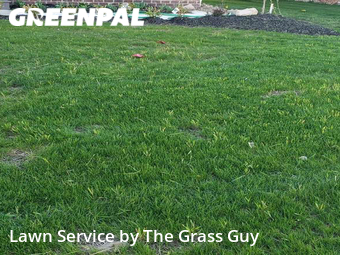 Lawn Maintenance nearby Aurora, OH, 