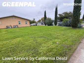 Lawn Service nearby Sacramento, CA, 