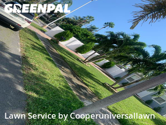 Grass Cutting nearby Dania Beach, FL, 