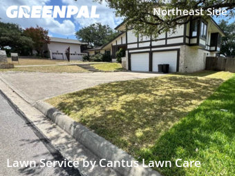 Yard Mowing nearby San Antonio, TX, 