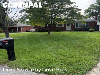 Landscapers In Louisville,40291,Landscaping Renovation by Lawn Bros, work completed in Jul , 2026