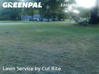 Lawn Mowing nearby Memphis, AR, 