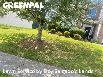 Lawn Work in Braselton, 30517, Yard Upkeep by Eloy Salgado's Lands, work completed in Dec , 2025