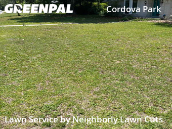 Lawn Mowing Service nearby Pensacola, GA, 