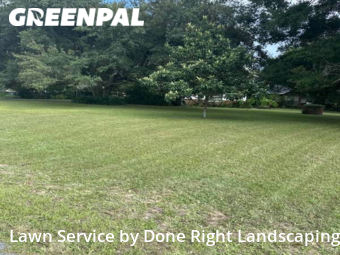 Lawn Mow nearby Lady Lake, FL, 