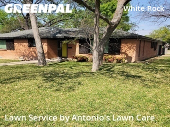 Lawn Service nearby Dallas, TX, 
