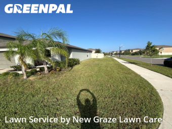 Grass Cut nearby Sun City Center, FL, 