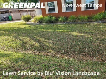 Grass Cut nearby Tampa, FL, 