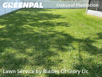 Lawn Cut nearby Orange Park, TN, 