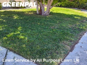 Lawn Mowing in Las Vegas, 89123, Weed Trimming by All Purpose Lawn Llc, work completed in Oct , 2025