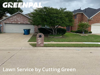 Grass Cut nearby Lewisville, TX, 