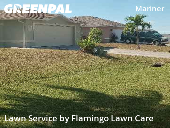 Grass Care in Cape Coral, 33993, Yard Services by Flamingo Lawn Care, work completed in Dec , 2025