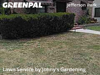 Yard Cutting nearby Los Angeles, CA, 