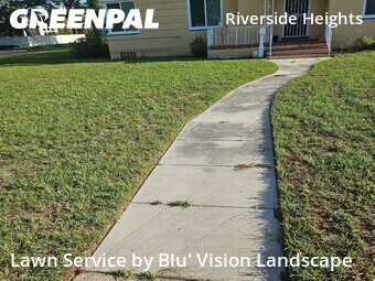 Lawn Carein Tampa,33602,Lawn Mow by Blu' Vision Landscape, work completed in Jun , 2026
