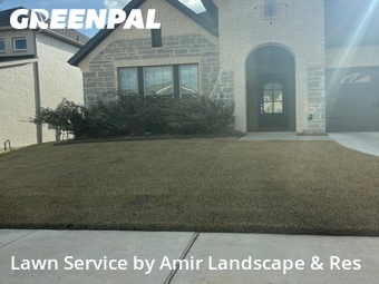 Lawn Cut nearby Fort Worth, TX, 