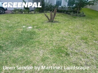Grass Cutting nearby Clermont, FL, 