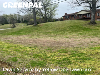 Lawn Mowing nearby Mt. Juliet, TN, 