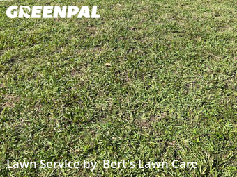 Lawn Cutting nearby North Miami, FL, 