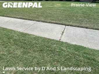 Yard Mowing nearby Frisco, TX, 