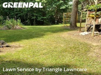 Lawn Cutting nearby Raleigh, NC, 
