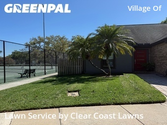 Lawn Mow nearby Palm Harbor, FL, 