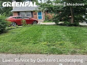 Lawn Cut nearby Kansas City, MO, 