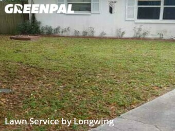 Lawn Mow nearby Largo, FL, 