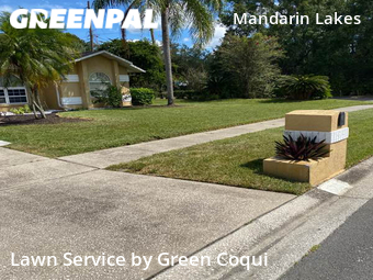 Lawn Mowing nearby Tampa, FL, 