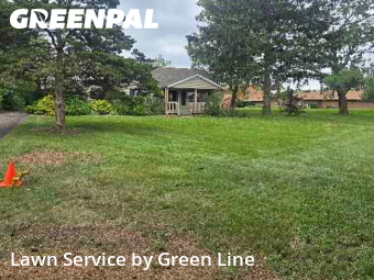 Lawn Cut nearby Downers Grove, IL, 