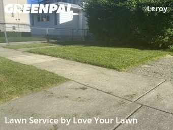 Yard Cutting nearby Buffalo, NY, 