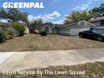 Lawn Mowing nearby Clearwater, FL, 