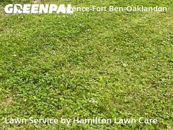 Lawn Care nearby Indianapolis, IN, 
