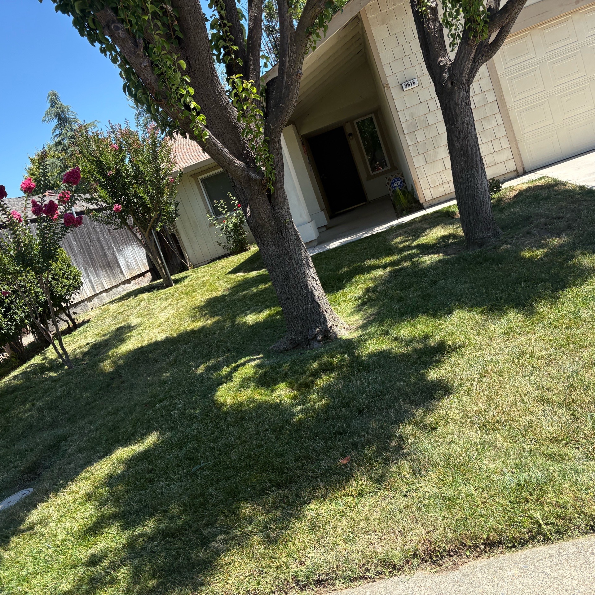 Lawn mowing work by Mojica Lawn Care Llc in Yuba City, CA