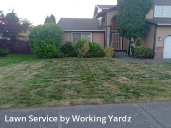 Lawn Mowing Service nearby Buckley, WA, 