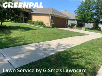 Grass Cut nearby Ocala, FL, 