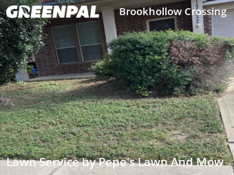 Lawn Care Service nearby Houston, TX, 