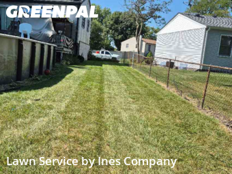 Grass Cutin Orland Park,60462,Lawn Mow by Ines Company, work completed in Nov , 2025