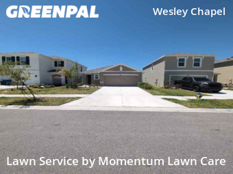 Lawn Cut nearby Wesley Chapel, FL, 