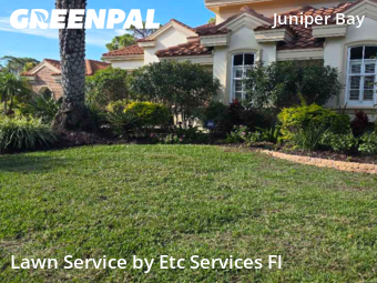 Grass Cuttingin Palm Harbor,34685,Grass Cutting by Etc Services Fl, work completed in Feb , 2026