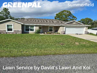 Lawn Service nearby Summerfield, FL, 