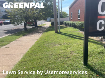 Lawn Cutting nearby St. Louis, MO, 