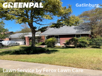 Lawn Mowing nearby Pflugerville, TX, 