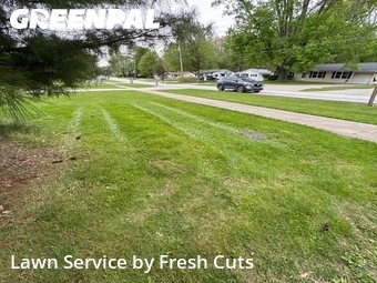 Lawn Care nearby Painesville, OH, 