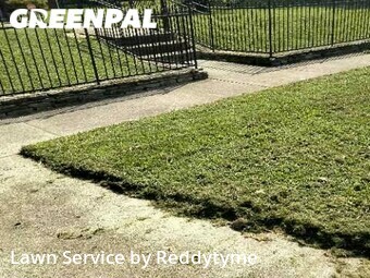 Grass Cut nearby Louisville, KY, 